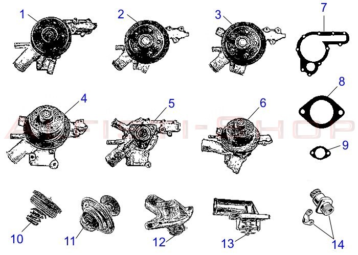 Wasserpumpen_ThermostateSP