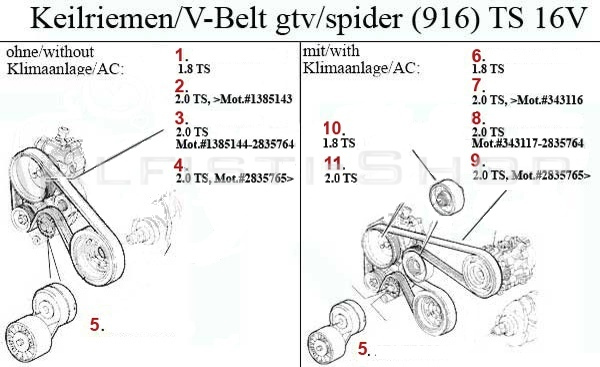 MotorKeilriemenTS