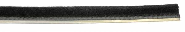 5544.jpg