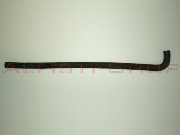 3639.jpg
